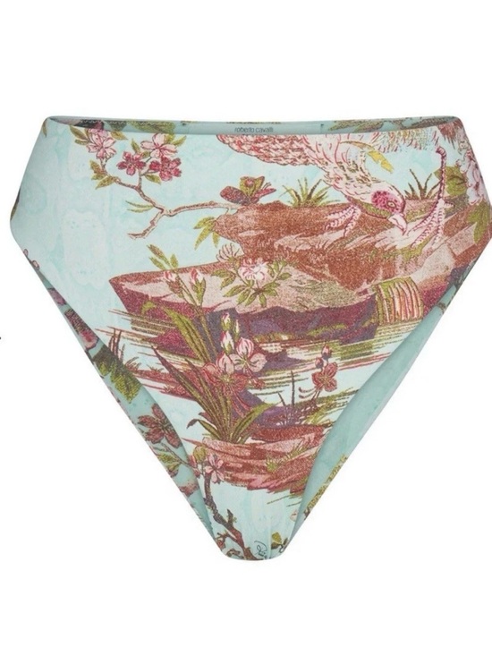 Roberto Cavalli Other - ROBERTO CAVALLI X SKIMS HIGH-WAISTED BIKINI BOTTOM | FAGIANELLA PRINT- Medium